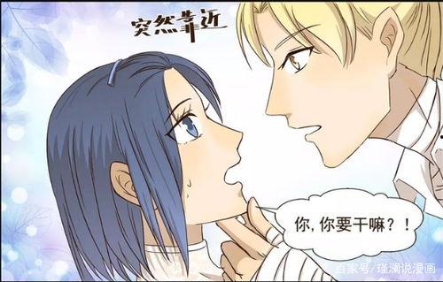 搞笑动漫免费观看